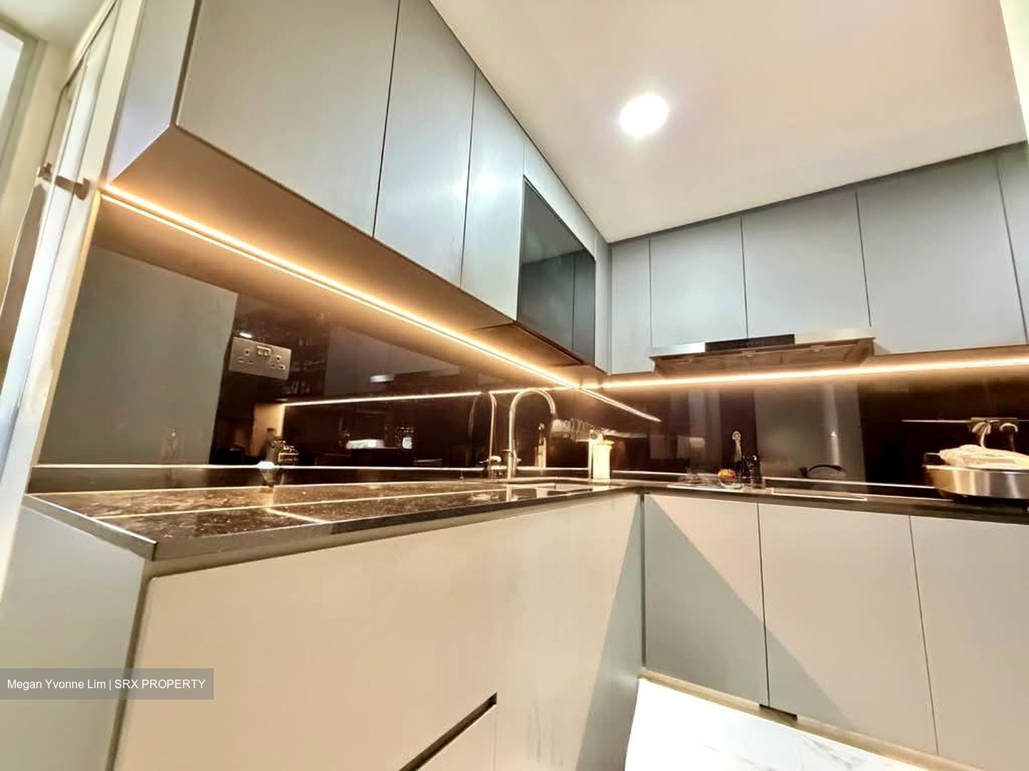 Ecopolitan (D19), Condominium #540807871